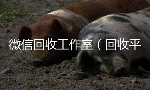 微信回收工个人回收vx秒结作室（回收平台）